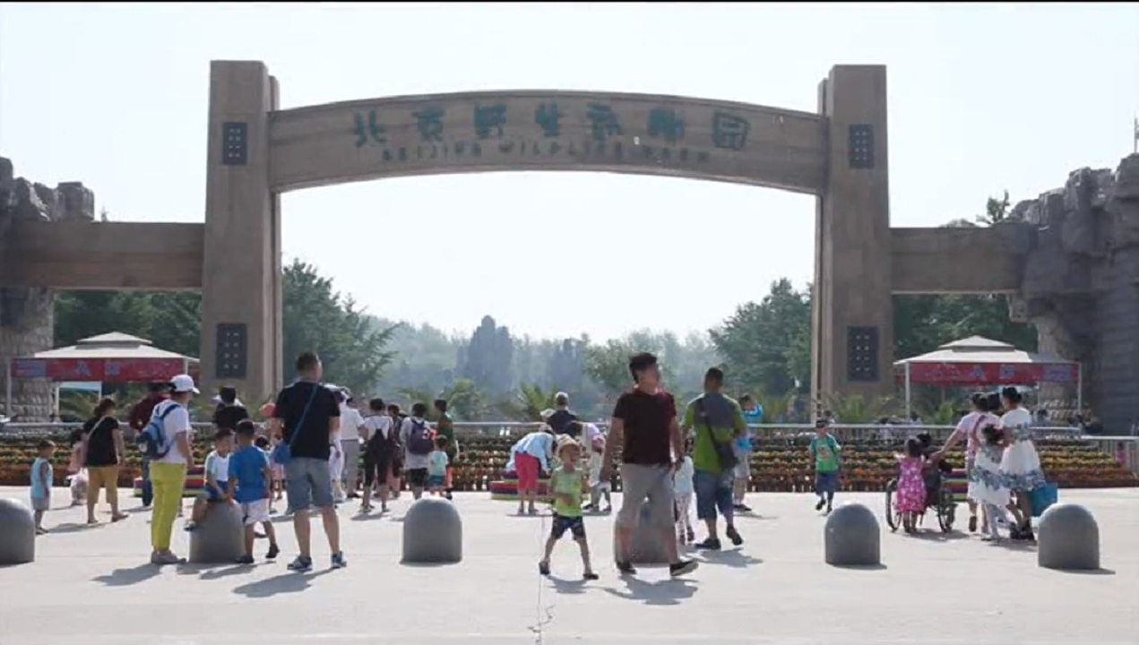 人生就是博-尊龙凯时中国官网